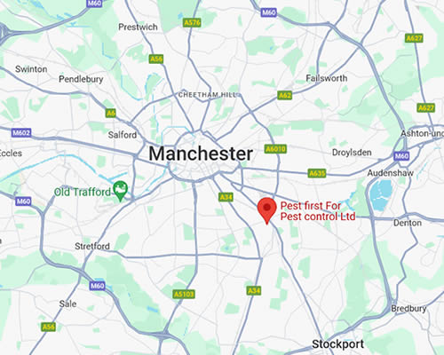 map showing Pest First Pest Control's location in Manchester